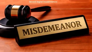 second degree misdemeanor