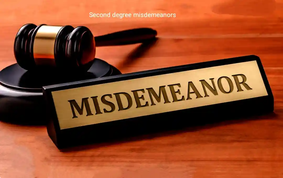 second degree misdemeanor